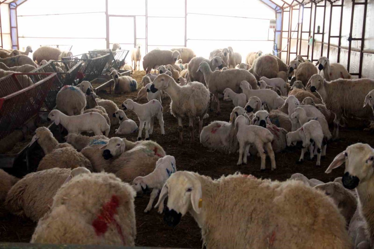 Bilimsel çalışmalar için kurulmuştu, elde edilen gelir burs olarak verilecek