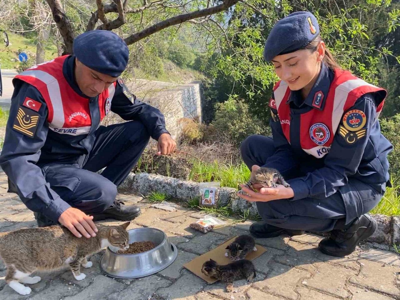 Yerli ve yabancı turistler orman yangınlarına karşı bilgilendirildi