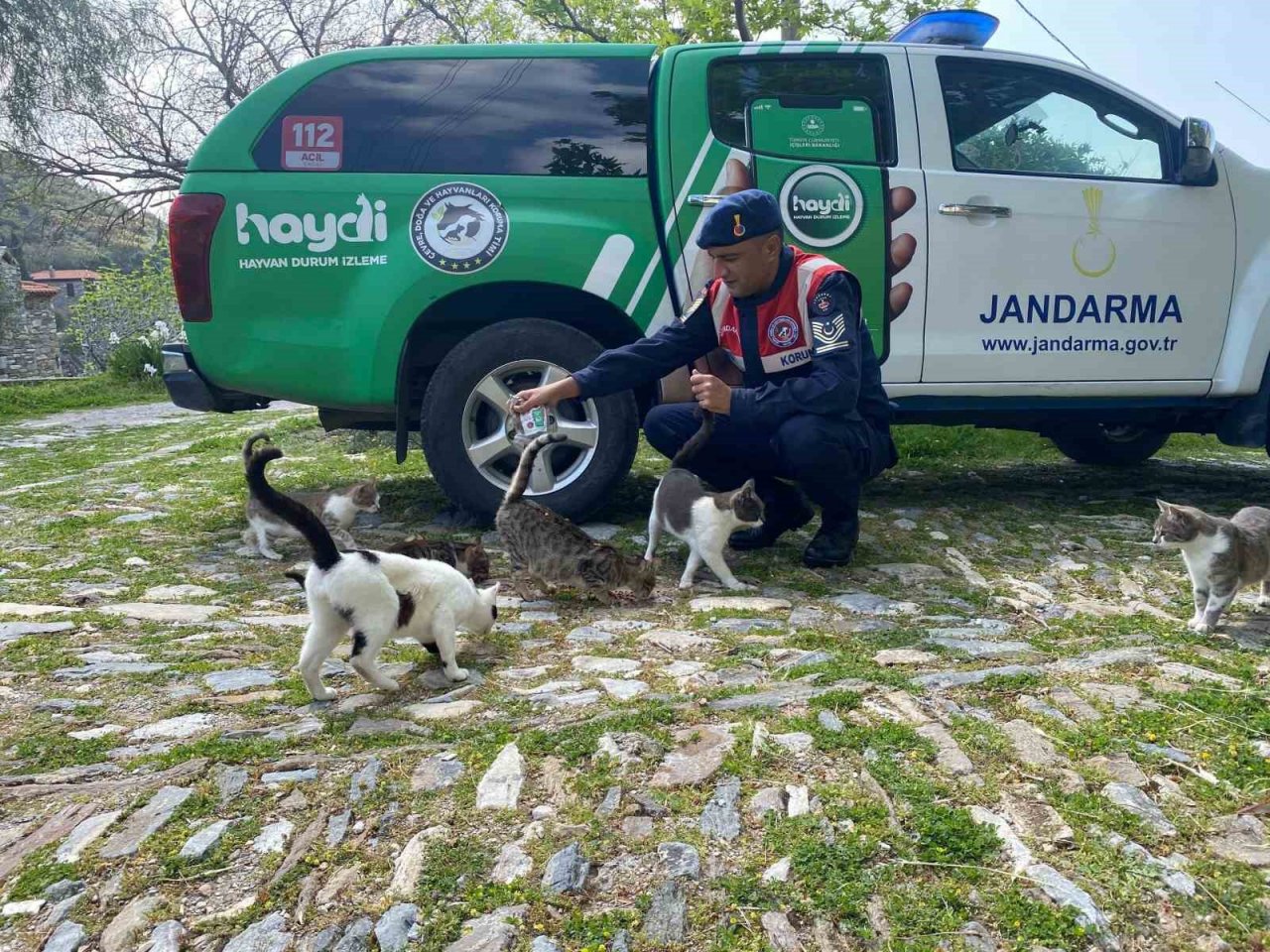 Yerli ve yabancı turistler orman yangınlarına karşı bilgilendirildi