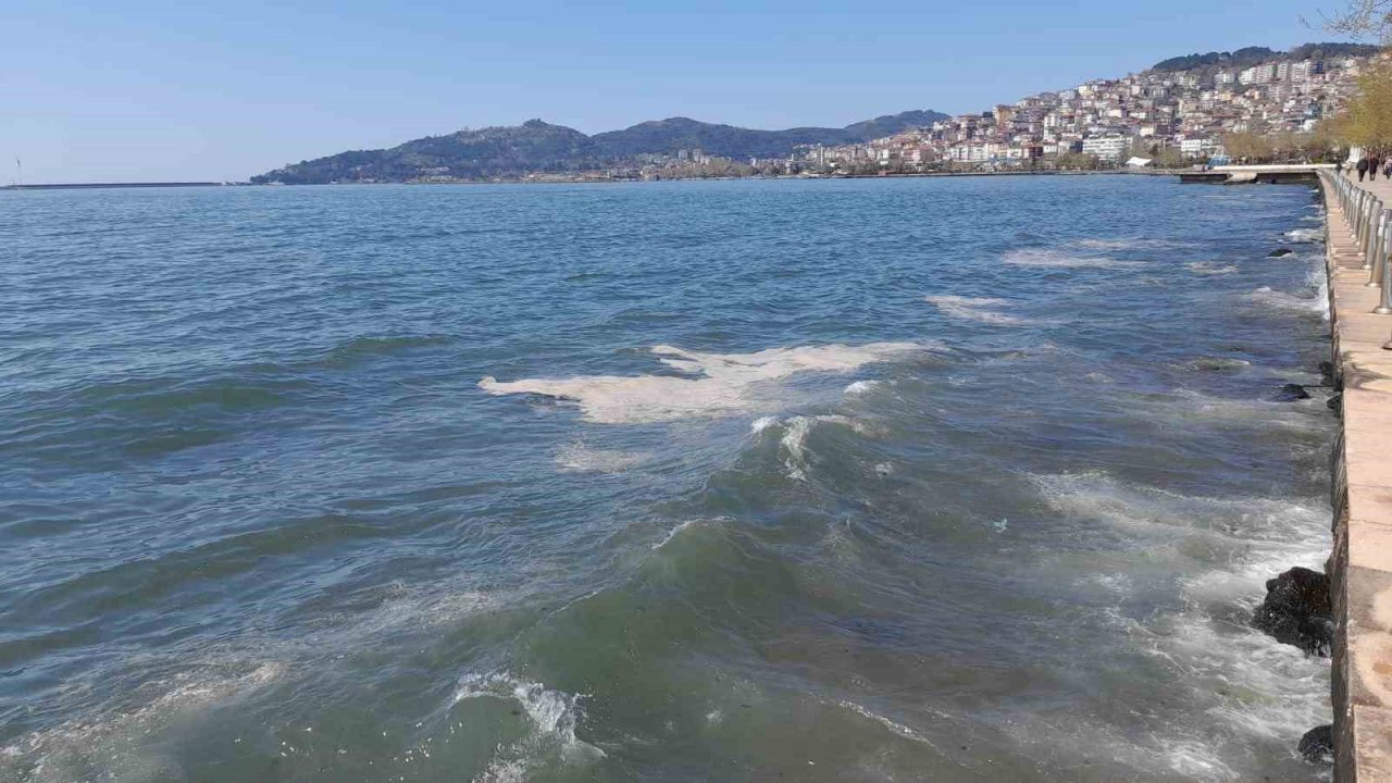 Vatandaş kirliliği müsilaja benzetti