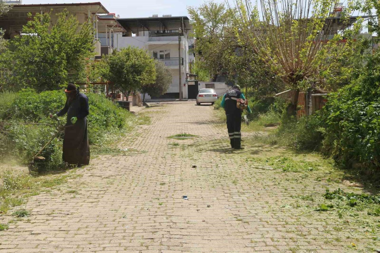 Efeler’in ekiplerinden bahar temizliği