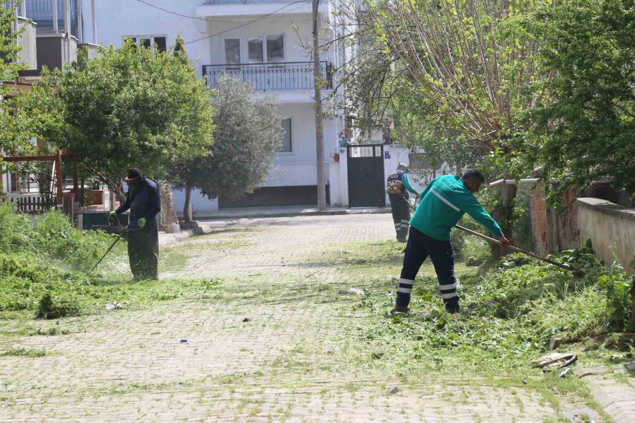 Efeler’in ekiplerinden bahar temizliği