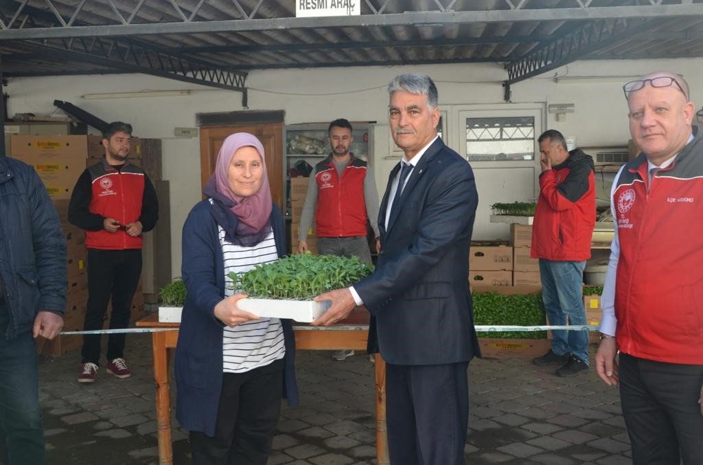 Köyceğiz’de Ata tohumu fidesi dağıtıldı