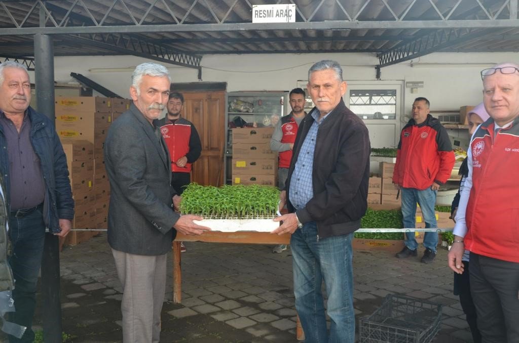 Köyceğiz’de Ata tohumu fidesi dağıtıldı