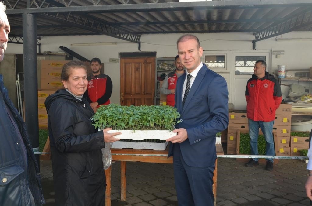 Köyceğiz’de Ata tohumu fidesi dağıtıldı