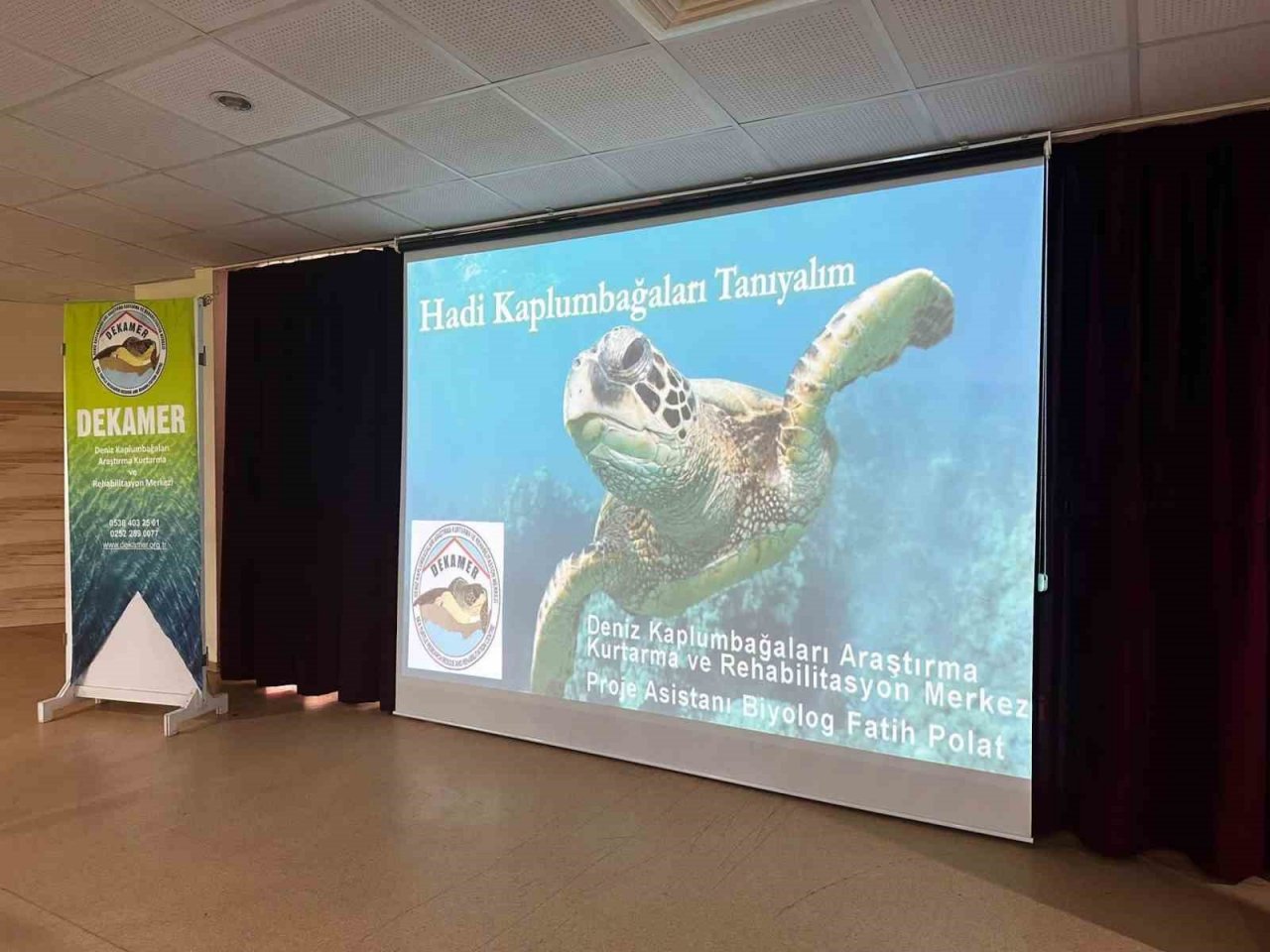 Muğla’da öğrencilere caretta caretta kaplumbağaları tanıtıldı