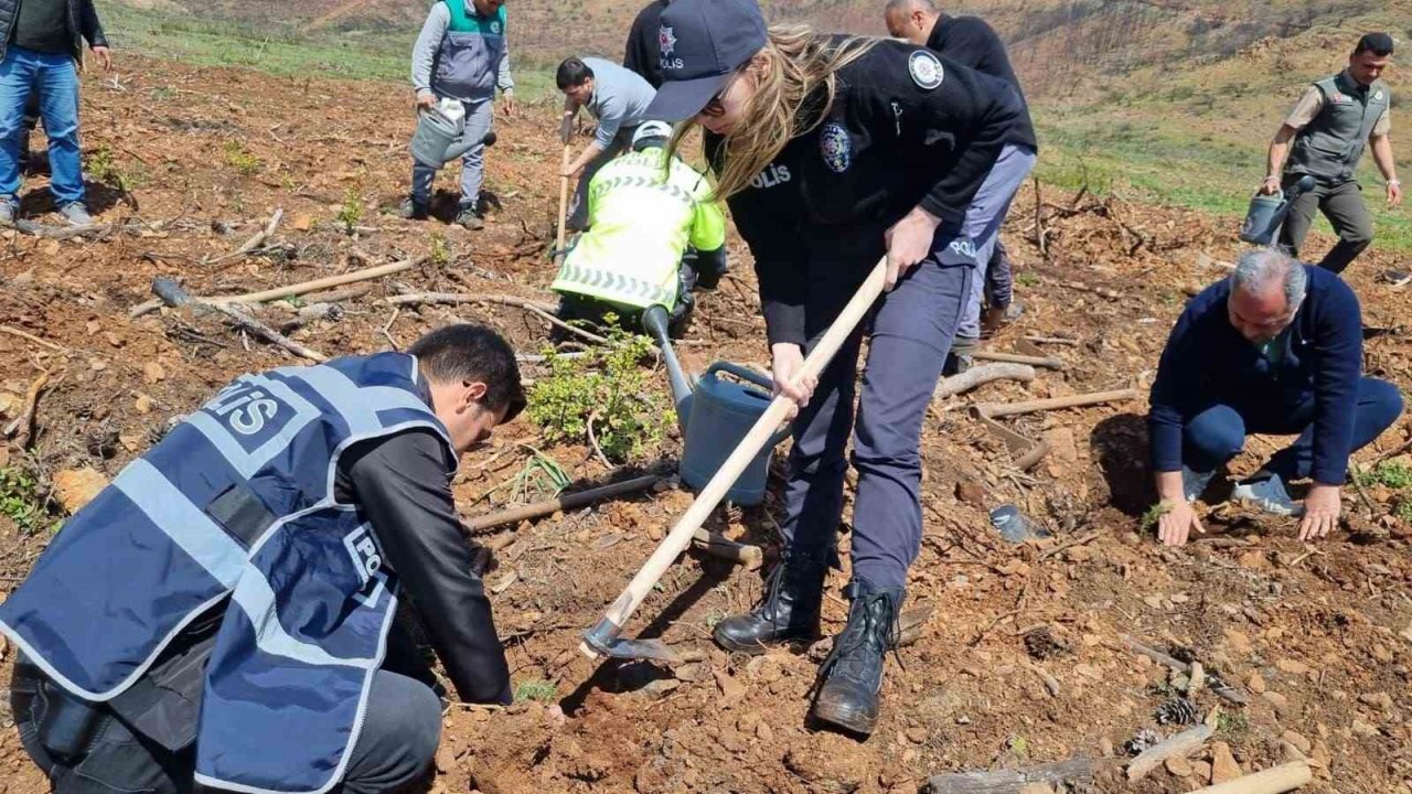 Polisler ve orman işletme yanan alanlarda fidan dikti