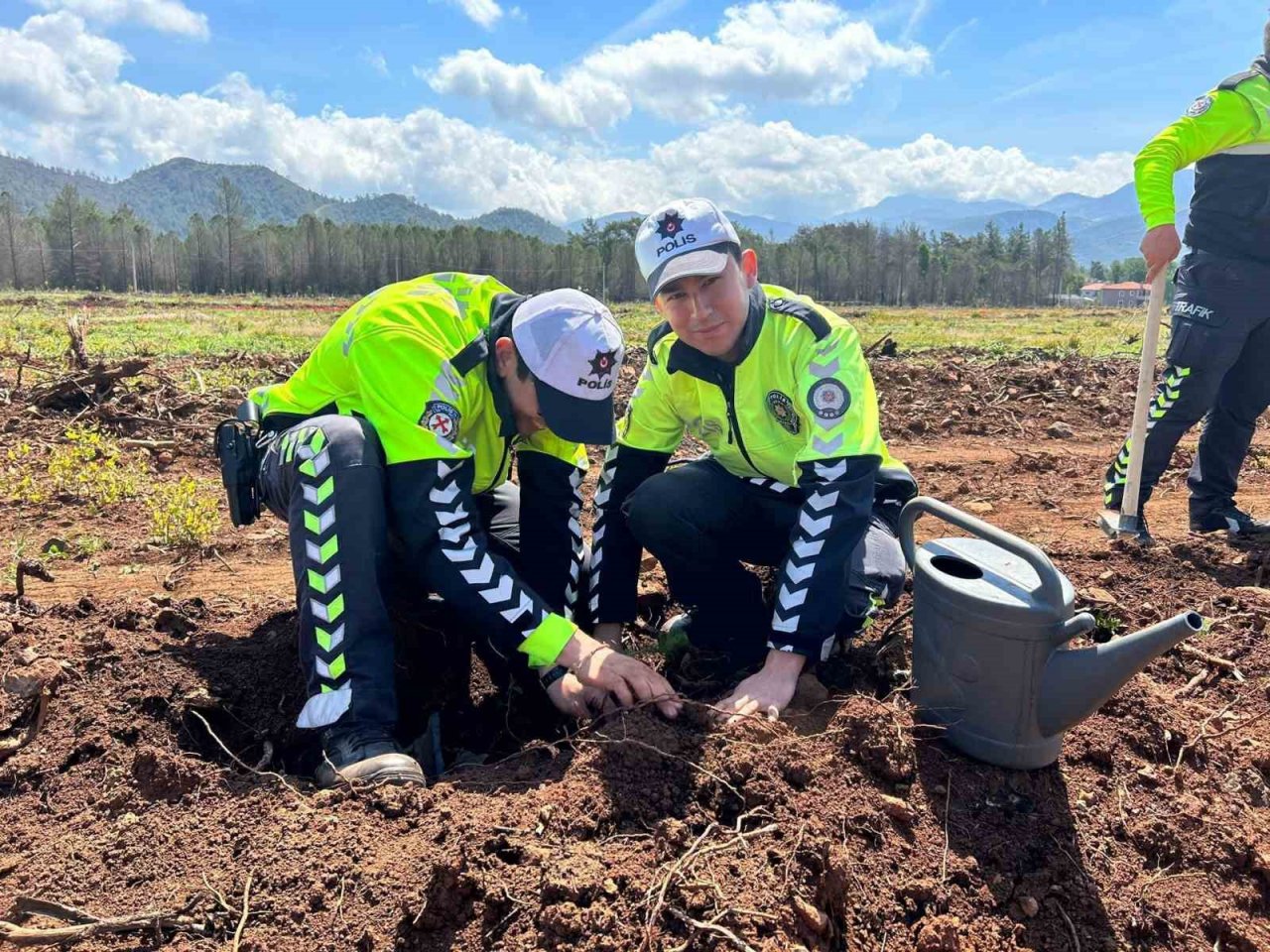 Polisler ve orman işletme yanan alanlarda fidan dikti