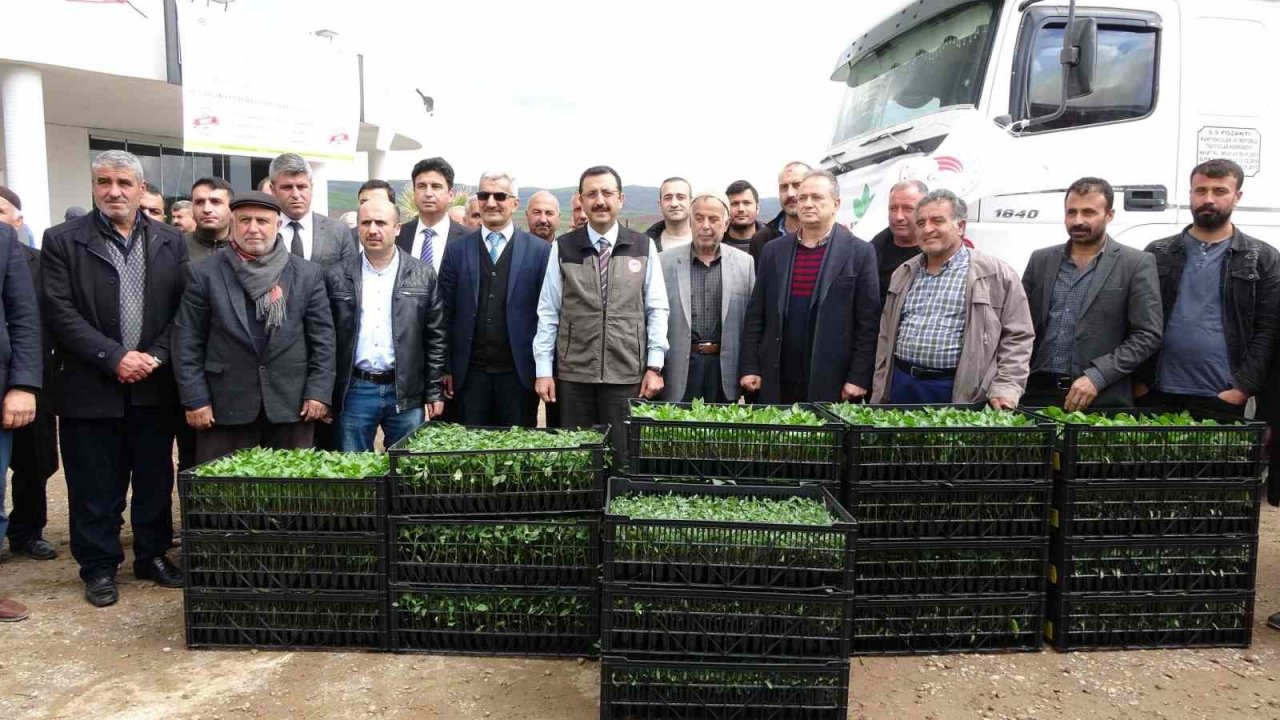 Devlet çiftçiye destek verdi, bağ bahçe sebze fidesiyle dolacak