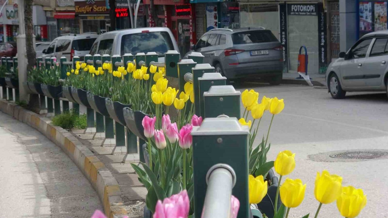 Caddeler laleler ile donatıldı, oluşan görsel şölen dikkat çekti