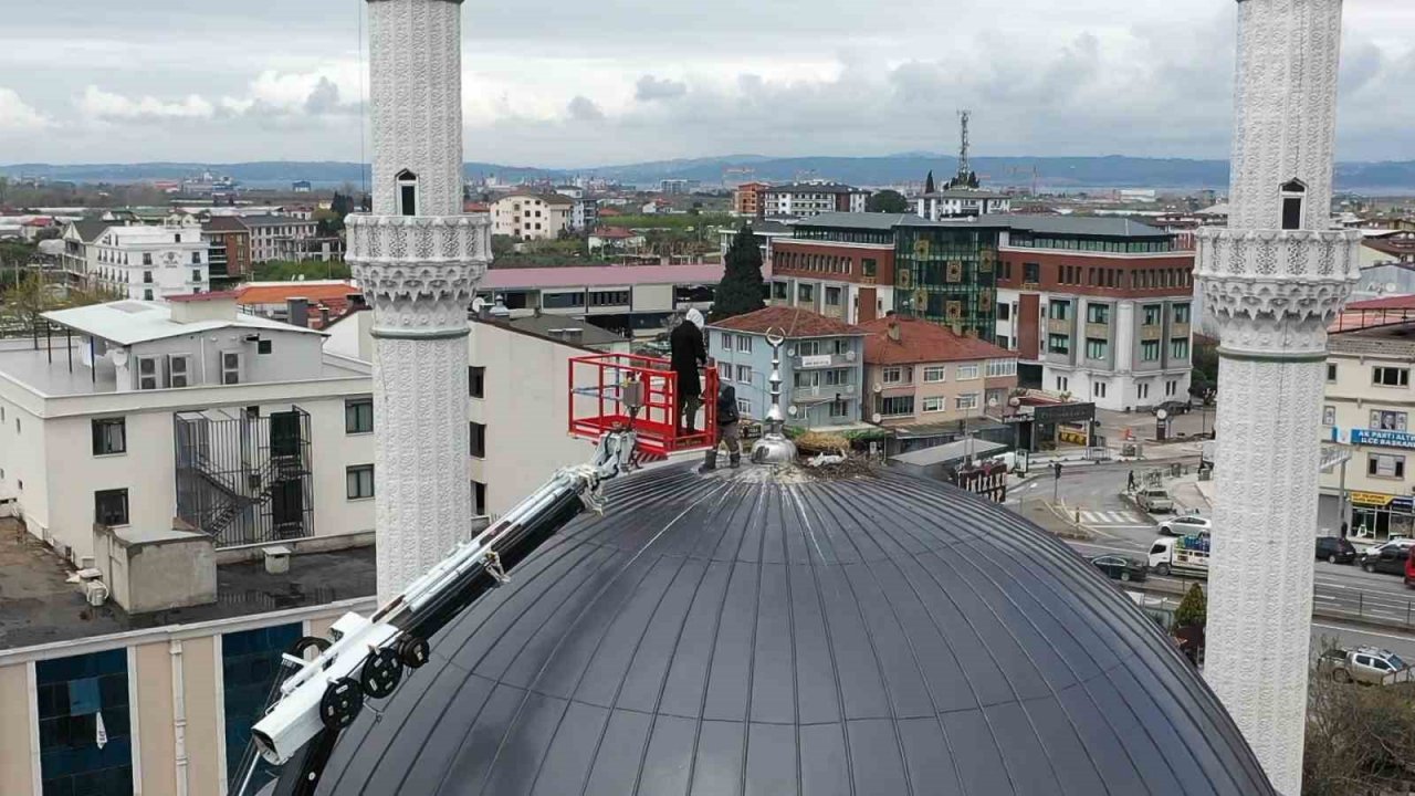 Cami kubbesinde kuluçkaya yatan leyleğe özel yuva