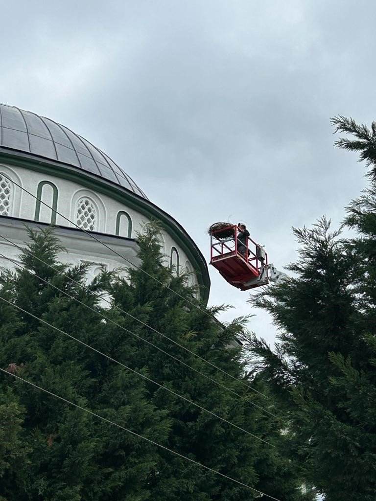 Cami kubbesinde kuluçkaya yatan leyleğe özel yuva