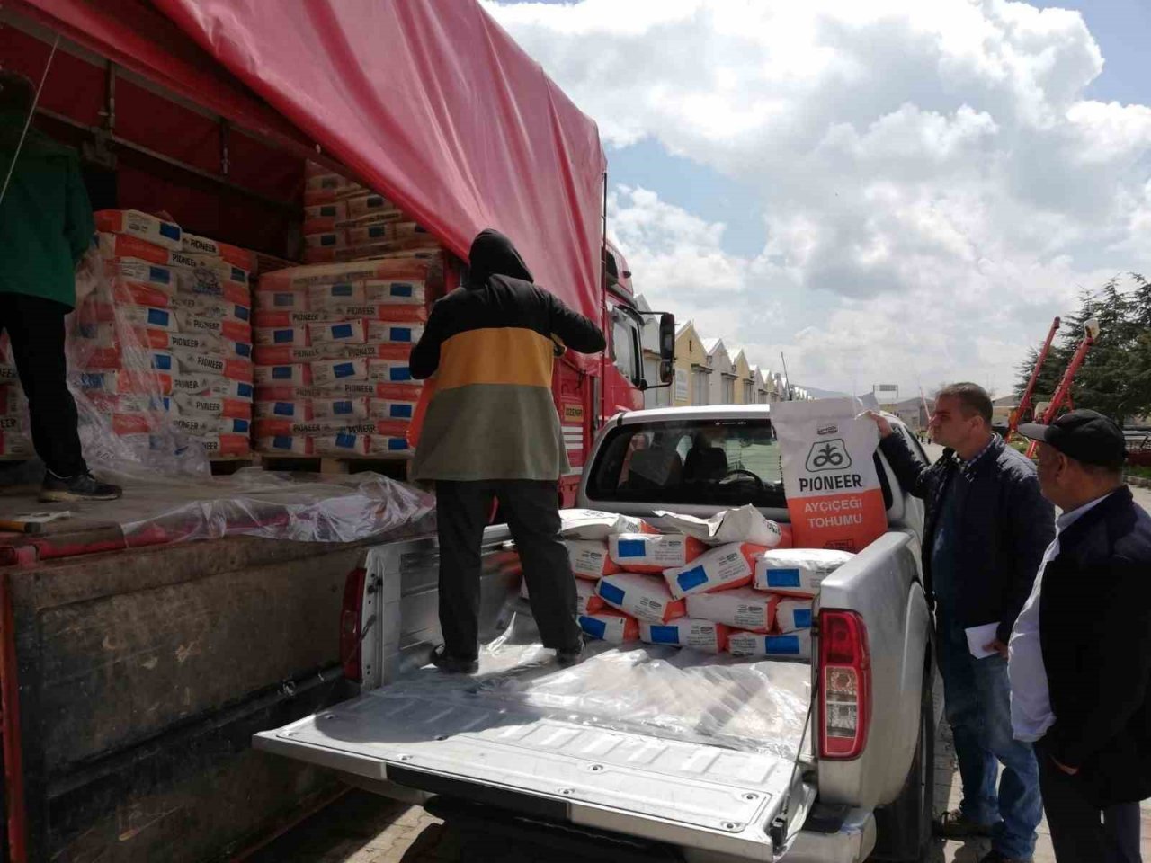 Çiftçilere yüzde 75 hibe ile yağlık ayçiçeği tohumu dağıtıldı