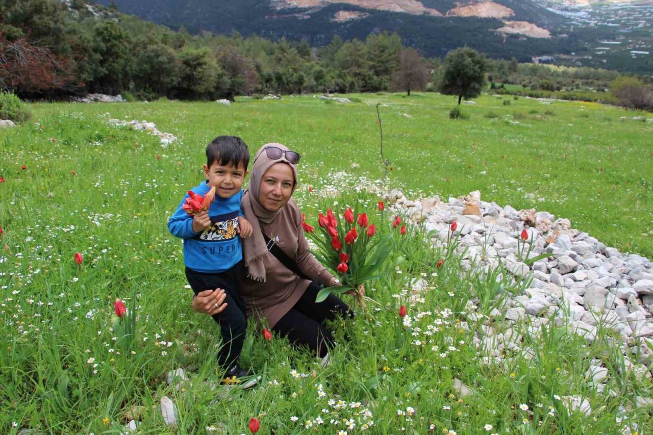 Antalya’da Osmanlı laleleri görsel şölen oluşturdu