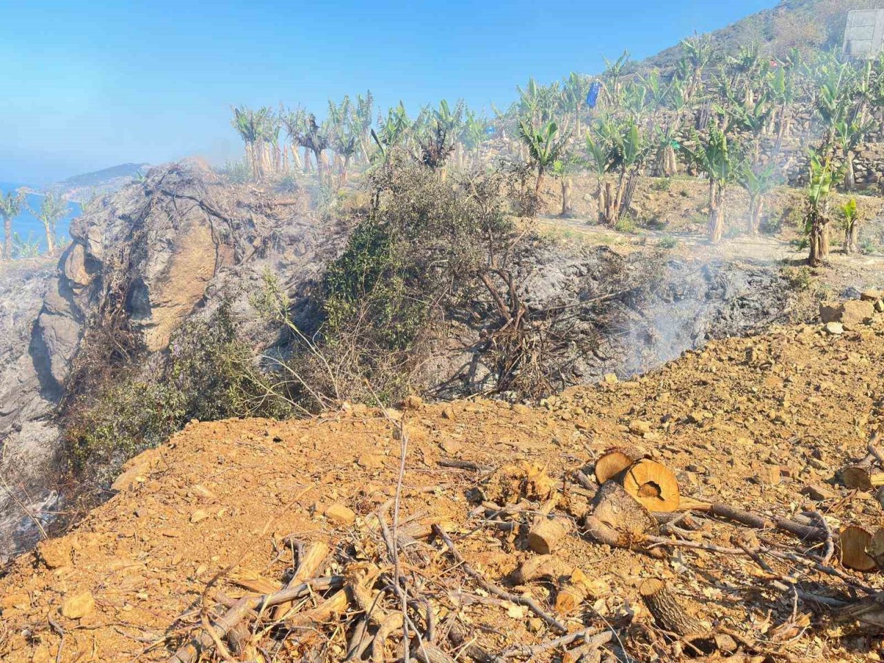 Yerleşim yerlerine yakın noktada çıkan yangın büyümeden söndürüldü