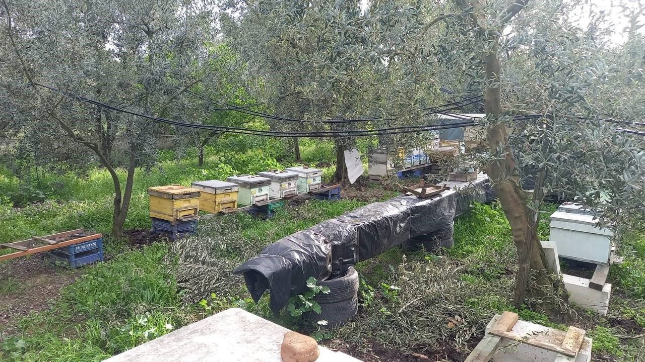 Parmak yalatan hırsızlık