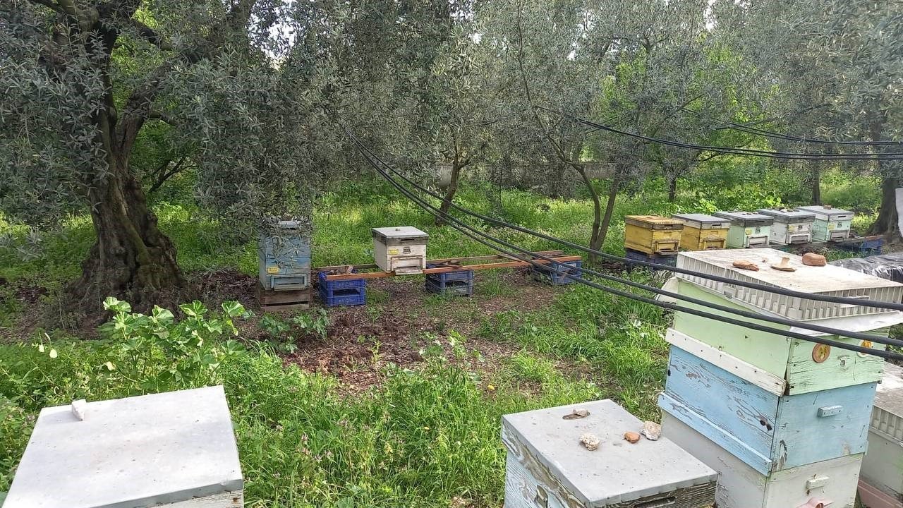 Parmak yalatan hırsızlık