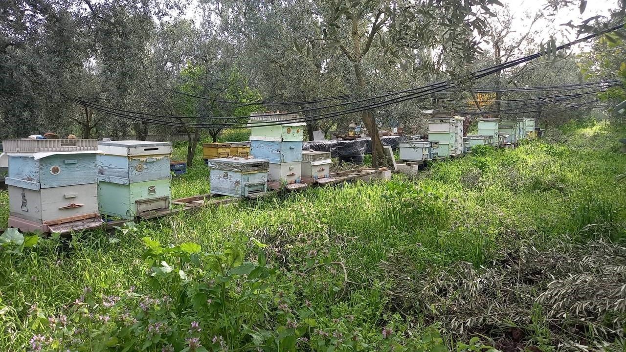 Parmak yalatan hırsızlık