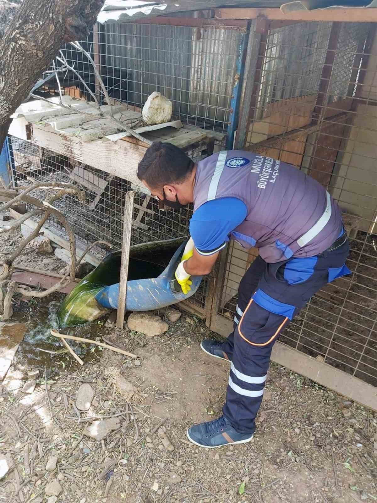 Vektörle mücadele devam ediyor