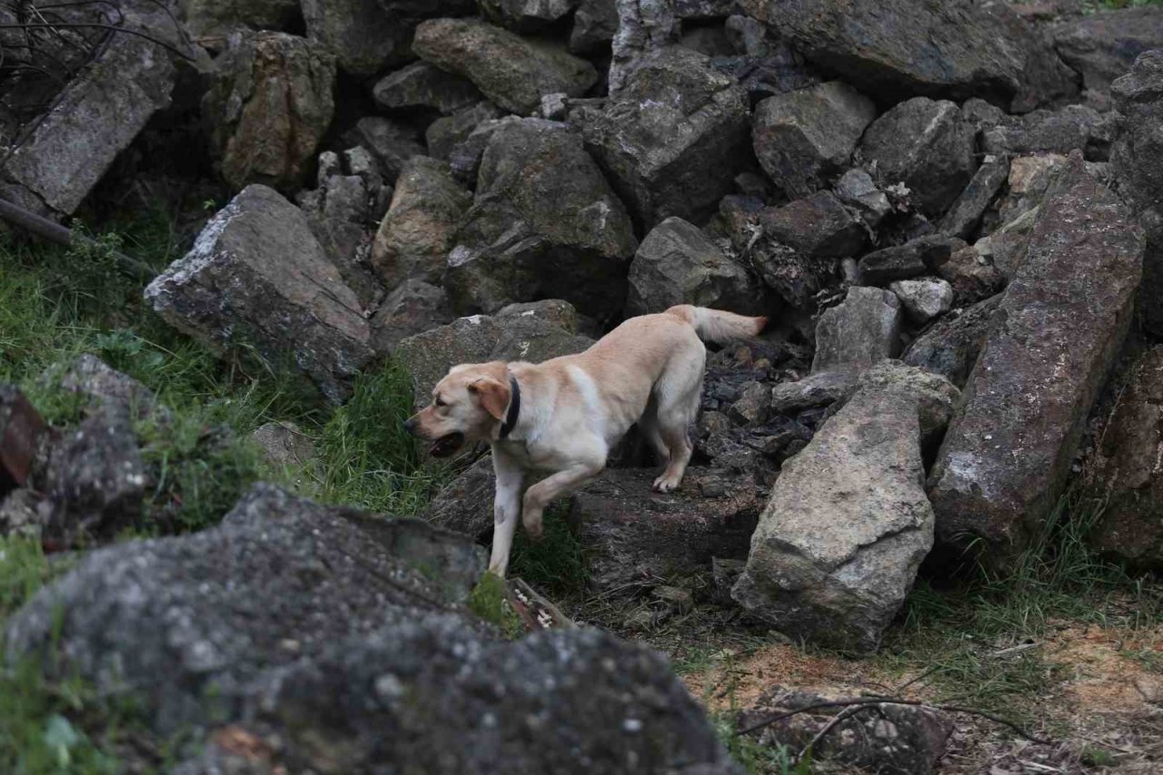 Depremin kahramanları...Böyle yetiştiriliyorlar