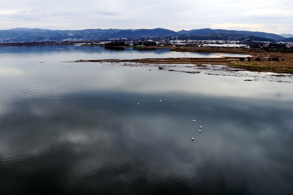 Başkan Oral, “Altınova’yı dünya tanıyacak”