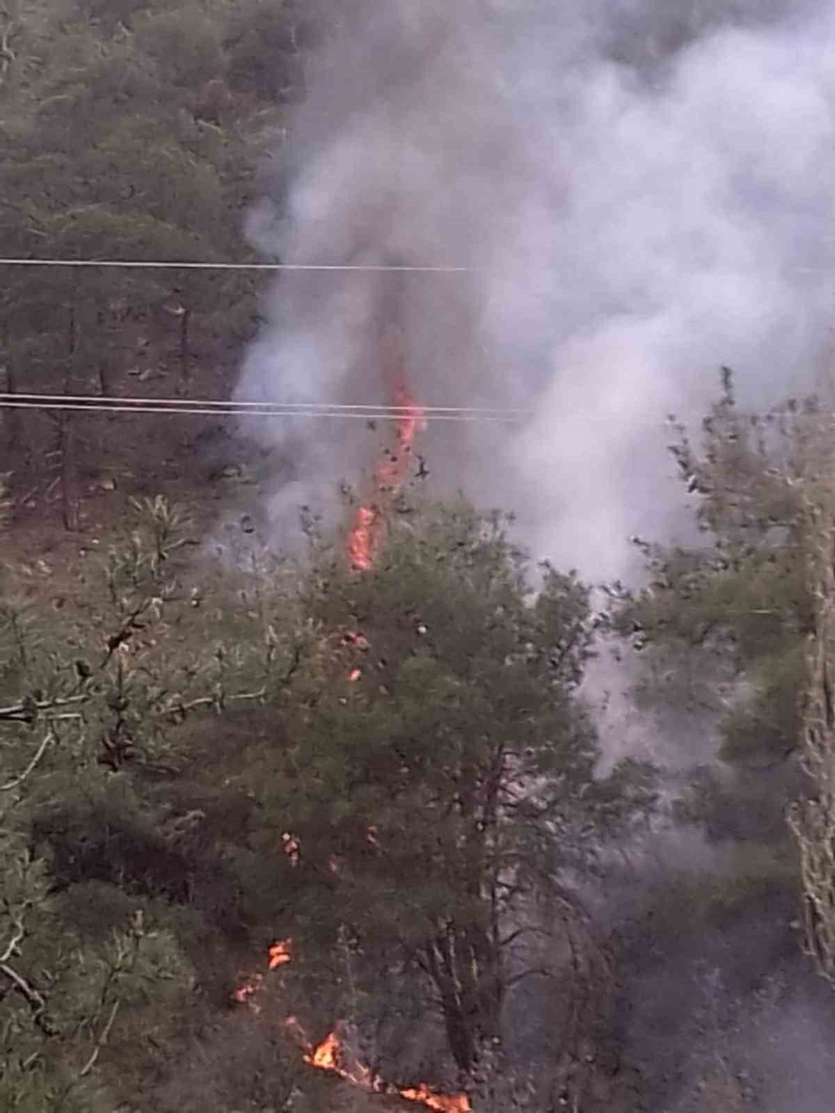 Söğüt’te çıkan orman yangını korkuttu