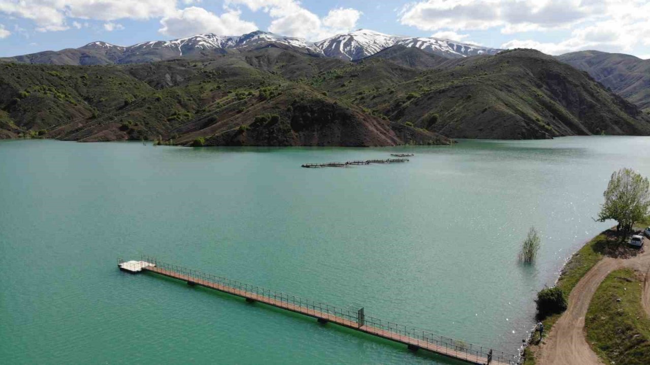 Erimeye başlayan kar suları barajlara bereket oldu