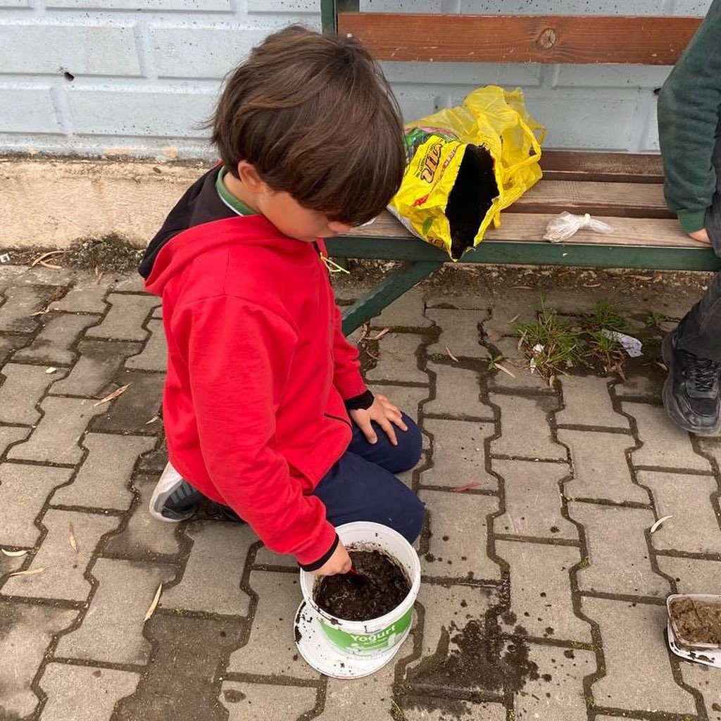 Köyceğiz’de tohum bombaları toprakla buluştu