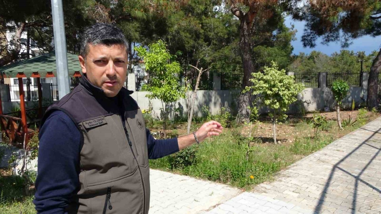 Ormanların kabusu çam kese böceğine karşı ‘Predatör’ hamlesi