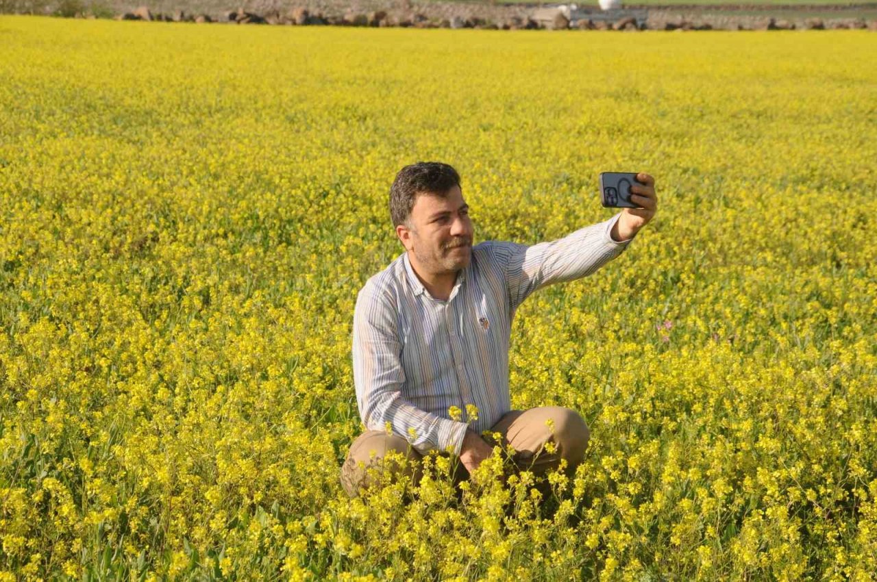 Cizre’de geç gelen ilkbaharla doğa renk cümbüşüne döndü