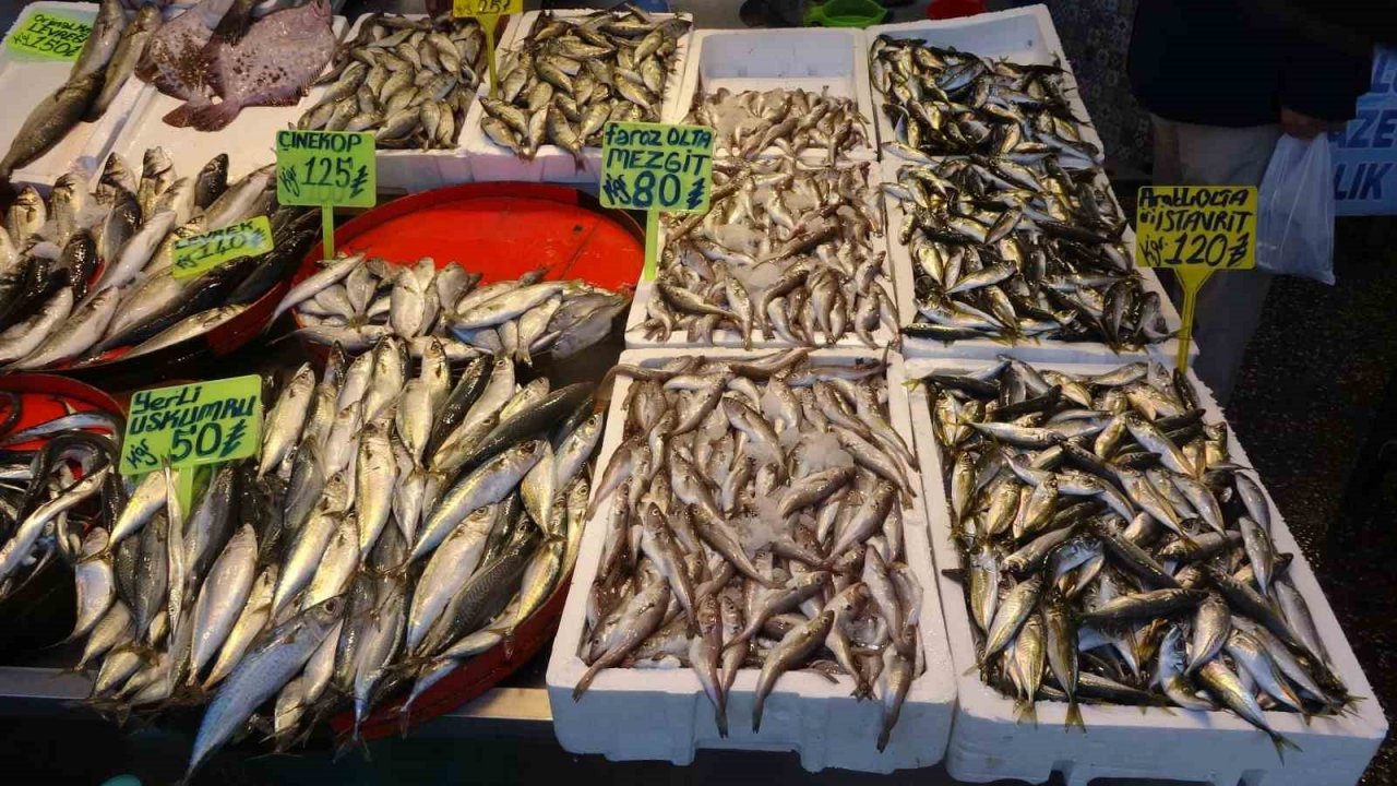 Denizlerde av yasağı başladı ancak balık tezgahlarında hareketlilik devam ediyor