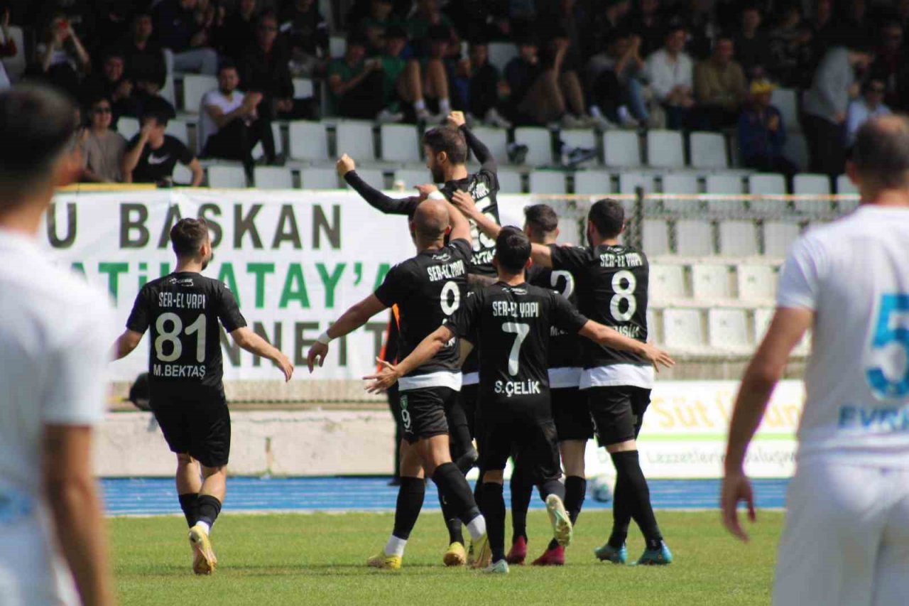TFF 3. Lig: Efeler 09 SFK: 2 - Siirt İl Özel İdaresi Spor: 0