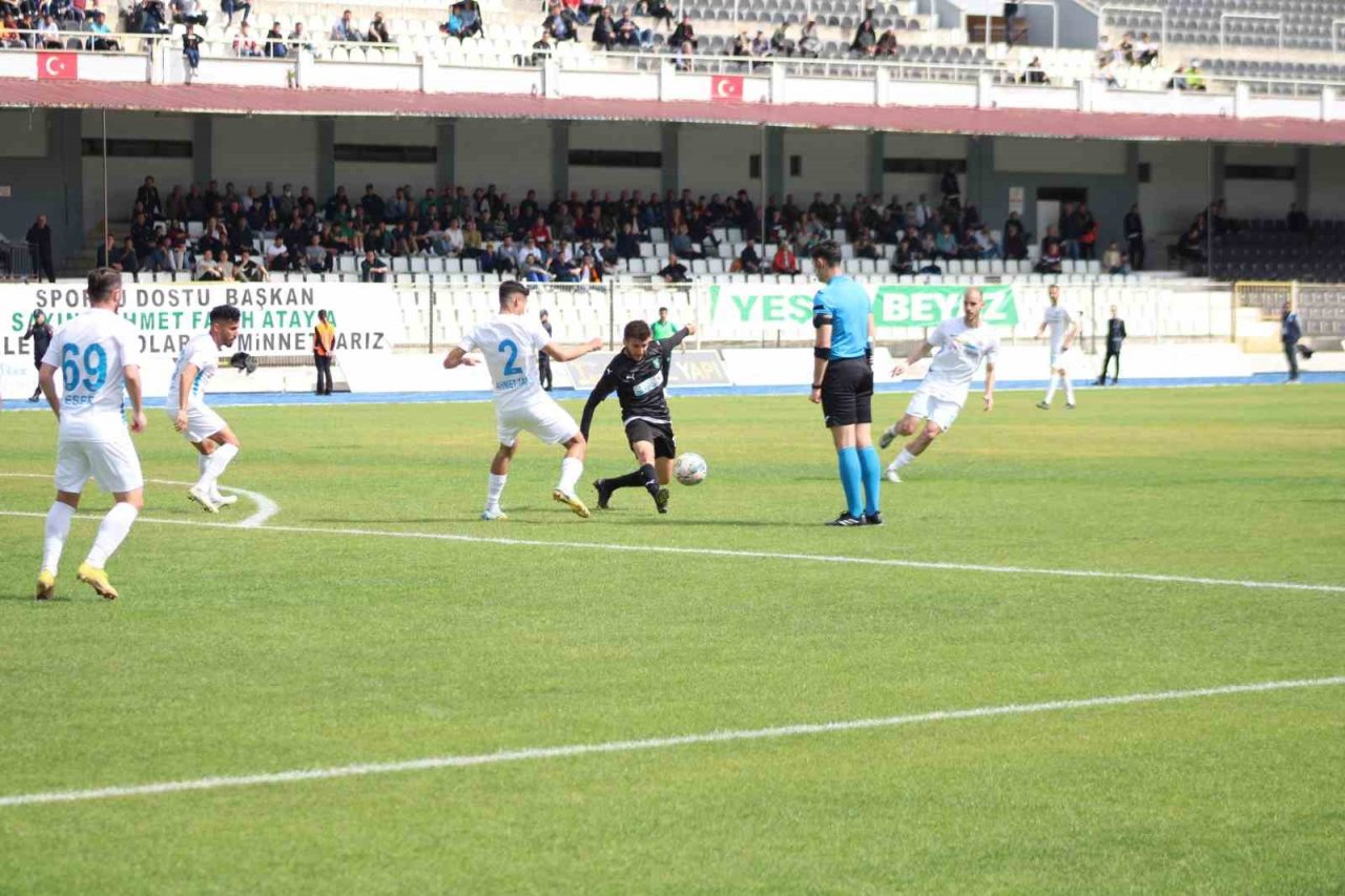 TFF 3. Lig: Efeler 09 SFK: 2 - Siirt İl Özel İdaresi Spor: 0
