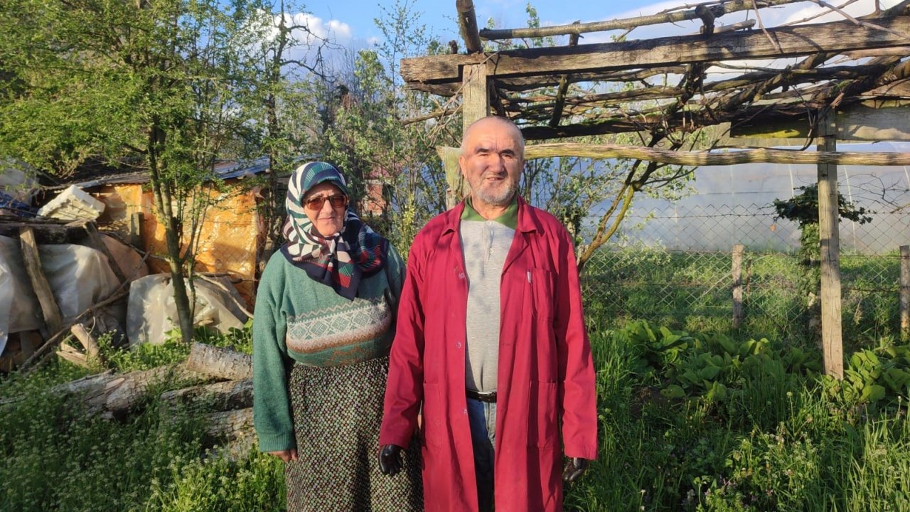 Bartın’da şap hastalığının aşılamasında sona gelindi