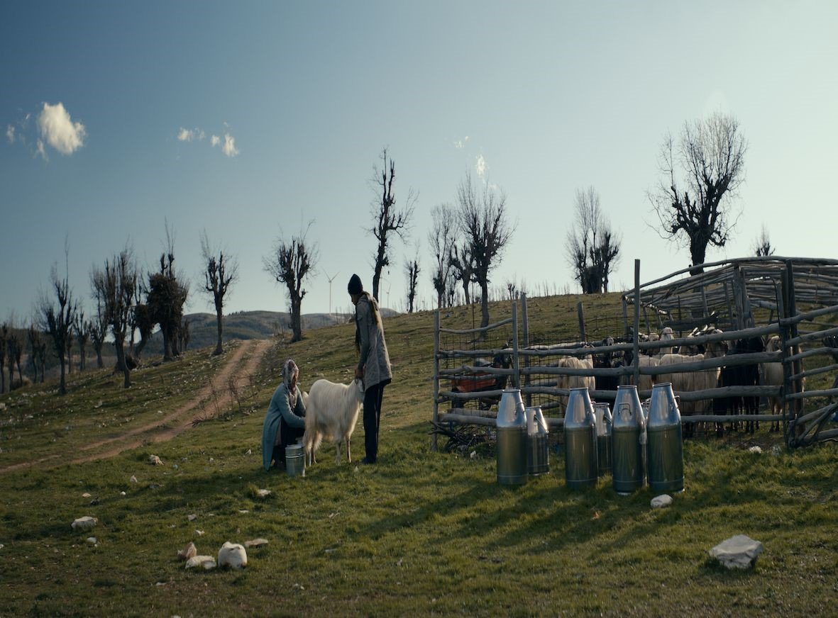 Golf Dondurma Kahramanmaraş fabrikası yeniden üretimde