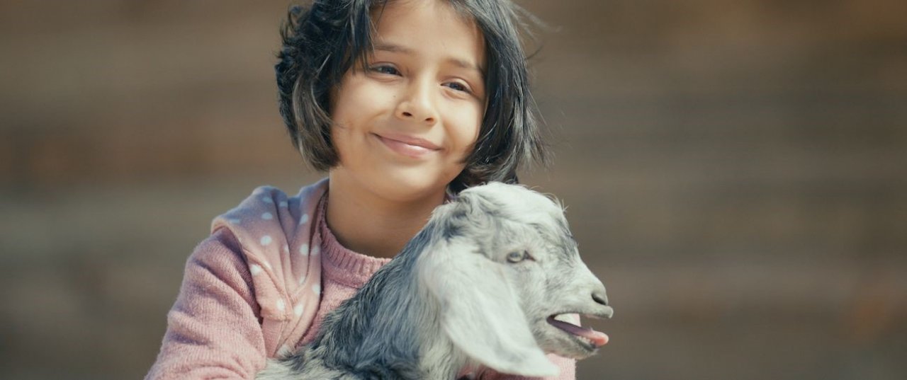 Golf Dondurma Kahramanmaraş fabrikası yeniden üretimde