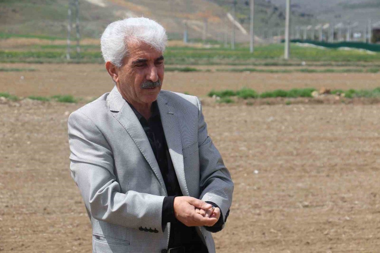 Soğanın başkentinden tüketiciye müjde