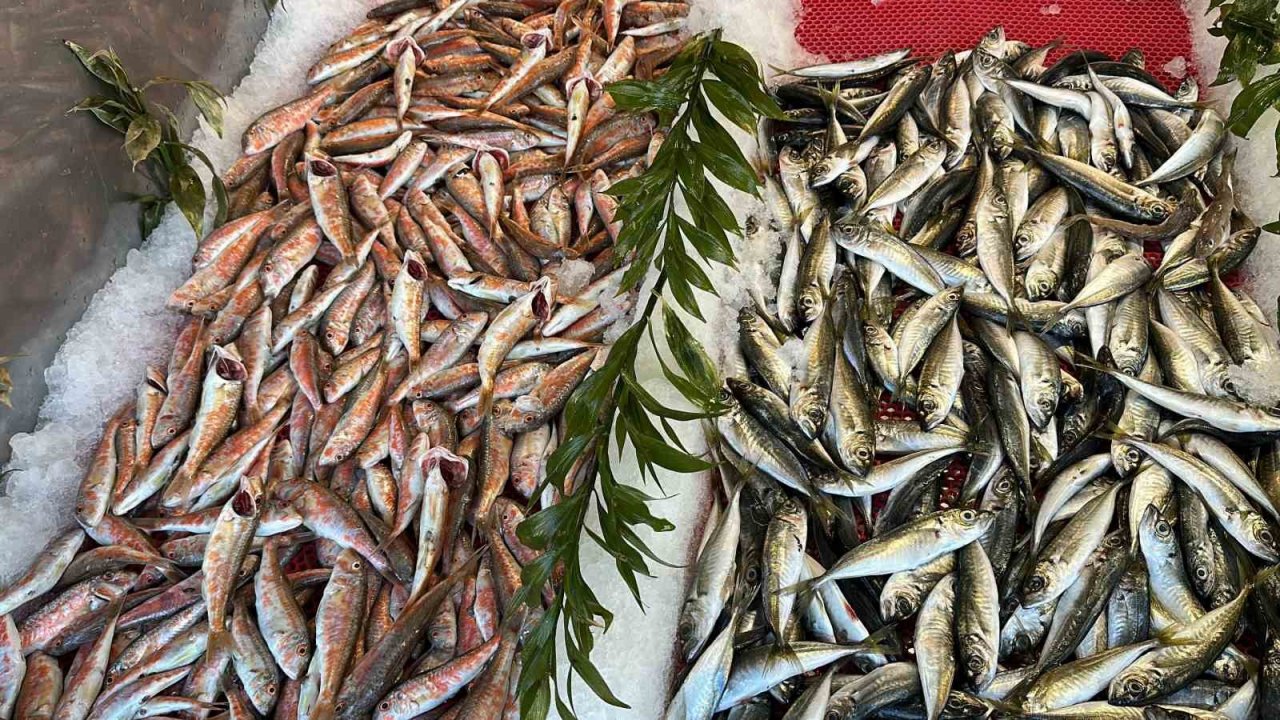 Avlanma yasağı başladı ama tezgahlardaki çeşitlilik bitmeyecek