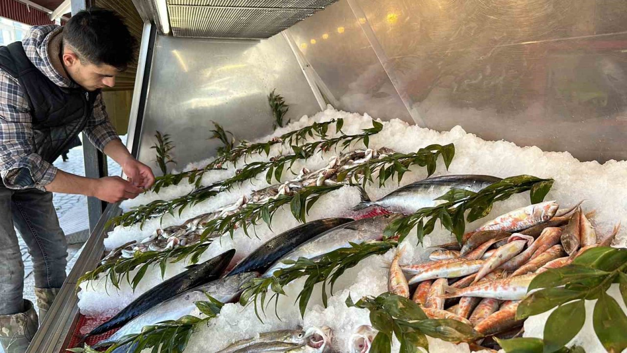 Avlanma yasağı başladı ama tezgahlardaki çeşitlilik bitmeyecek