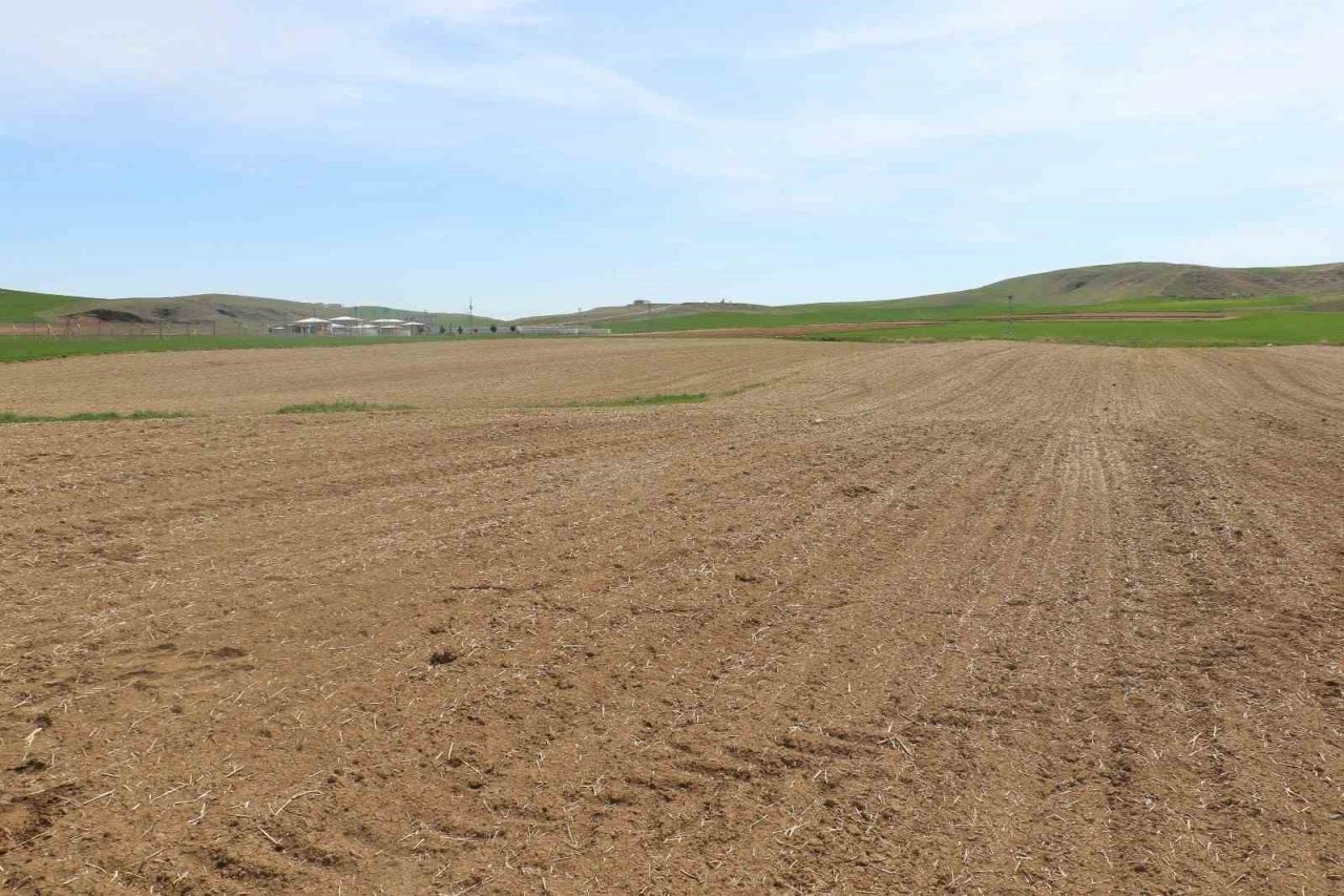 Soğanın başkentinden tüketiciye müjde