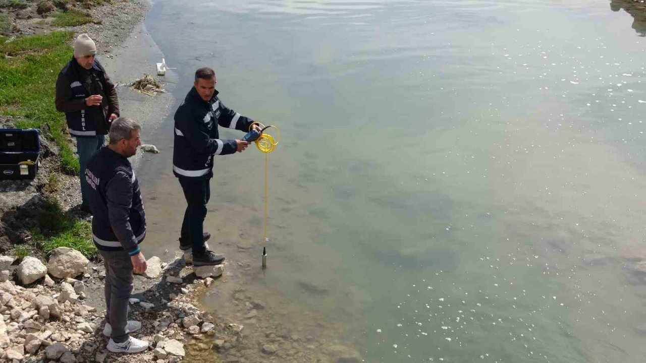 Van Gölü’ndeki inci kefallerinin göçü geç başlayacak