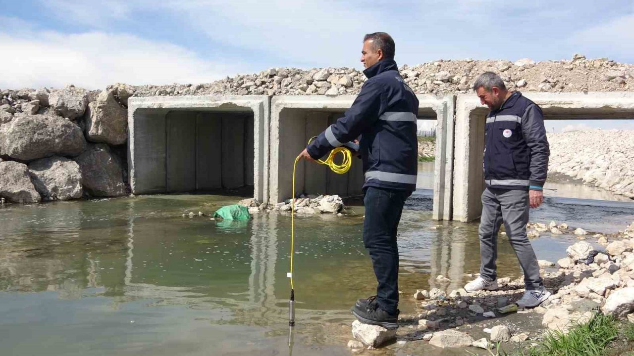 Van Gölü’ndeki inci kefallerinin göçü geç başlayacak