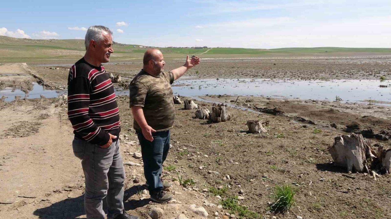 Yozgat’a misafir kuşların göç yolculuğu başladı