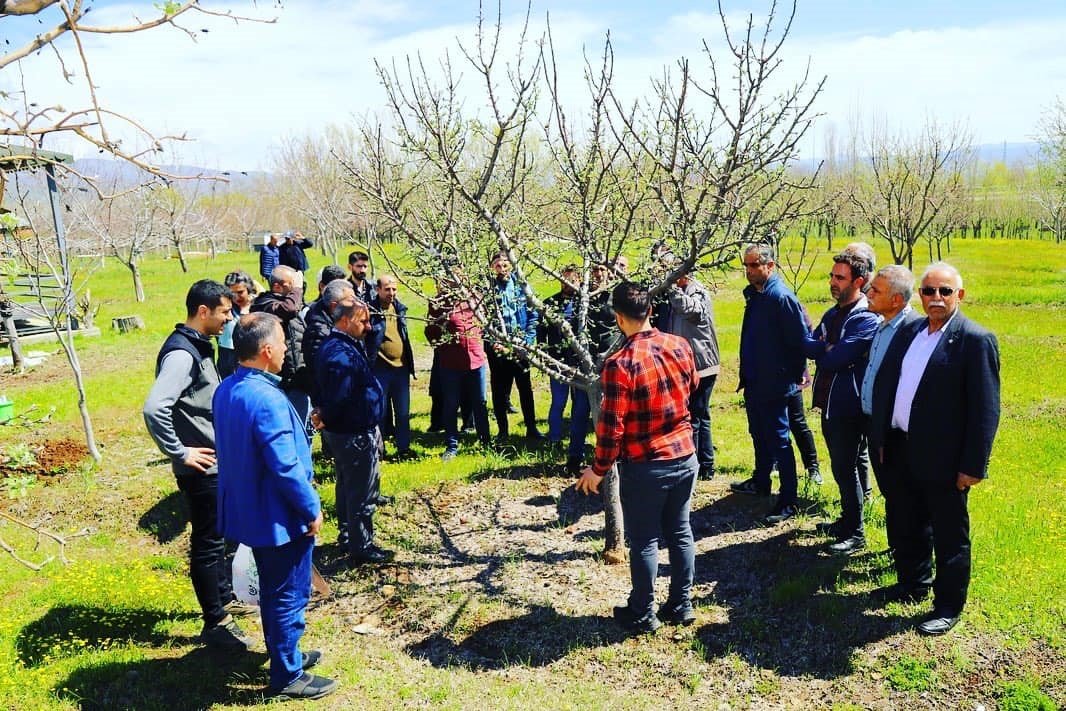 Bingöl’de ağaç budama ve aşılama eğitimi başladı