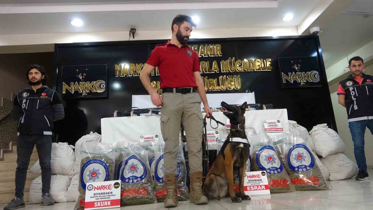 Diyarbakır’da ’Kökünü Kurutma Operasyonu’nda 133 tutuklama