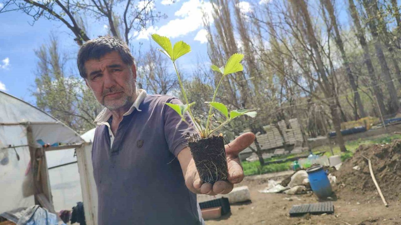 Bahçesinde 300 bin doğal fide üretip Türkiye’nin her yerine gönderiyor