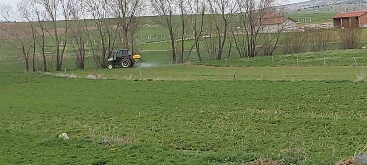 Kütahya’da Zabrus zararlısı ile zirai mücadele çalışmaları