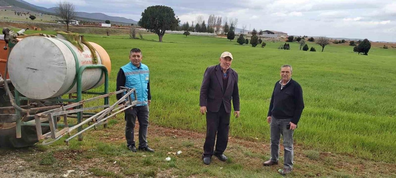 Kütahya’da Zabrus zararlısı ile zirai mücadele çalışmaları