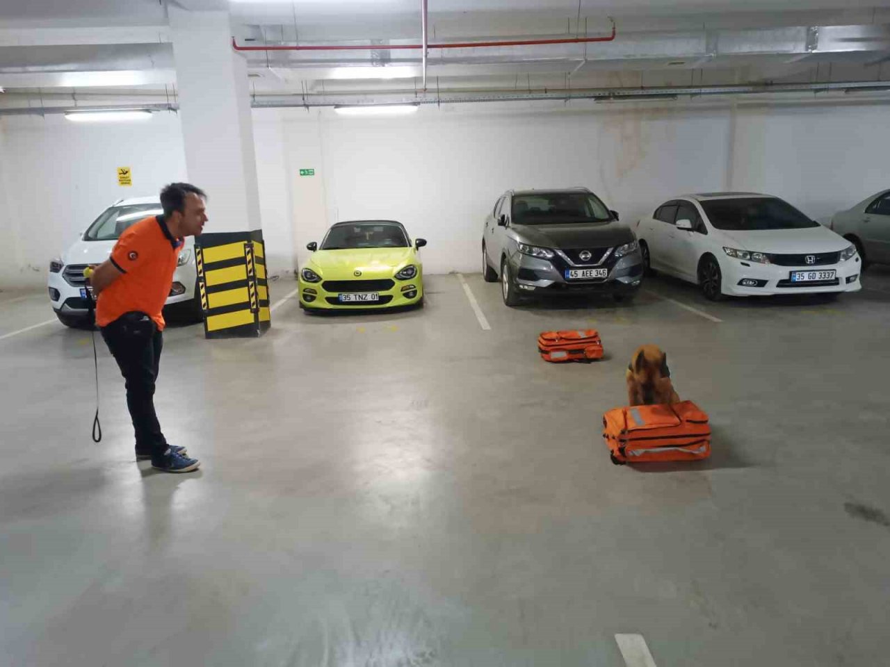 Bomba arama köpeği ‘Niobe’ göreve hazır