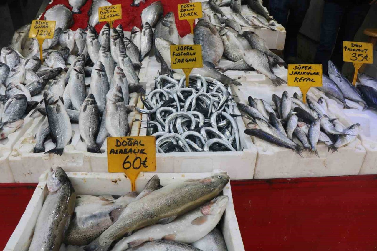 Mevsim balıklarının yerini kültür balıkları aldı